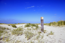 Ameland-Holland: Lange Dünen