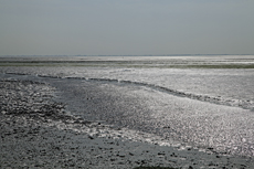 Ameland-Holland: Silbern und geheimnisvoll glänzt das Wattenmeer im Gegenlicht.