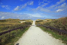 Ameland-Holland: Die Fahrradwege der Insel führen einen zu den schönsten Stellen, zeigen die herrliche Natur und lassen einen staunen über die Vielseitigkeit von Dünen, Watt, Salzwiesen, Strand und Dörfer.