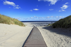 Juist-Töwerland: Lange Dünenwege aus Holz oder Sand, führen einem zum Strand.