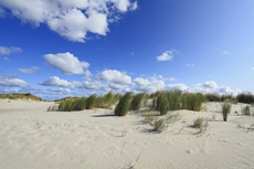 Juist-Töwerland: Die Juister Dünen sind der natürliche Küstenschutz der Insel.