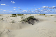 Juist-Töwerland: Die Schutzzone Billriff, eine niedrige Sandbank am westlichen Ende der Insel.