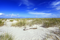 Juist-Töwerland: Kalfamer - Naturpfad und Schutzzone am Ostende der Insel - Nationalpark Wattenmeer. Im Kalfamer kann man die Entstehung neuer Dünen ganz besonders gut beobachten.