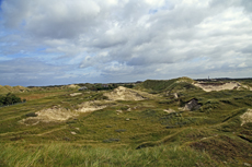 Norderney: DIE Thalassoinsel. Der Blick von der Aussichtsdüne am Polder-Wattweg auf die Dünenlandschaft