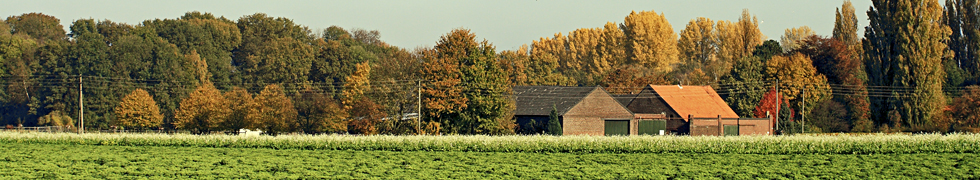 Herbstlandschaften