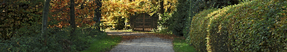 Buchenwald