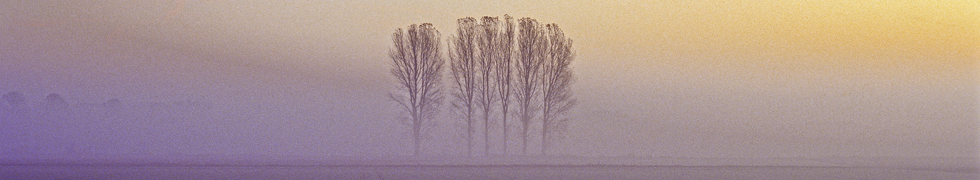 Herbstnebel