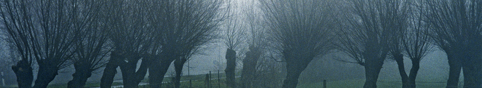Herbstnebel