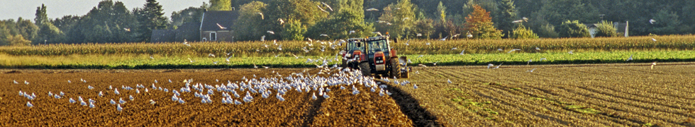 Herbstlandschaften