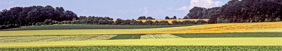 Sommer am Niederrhein