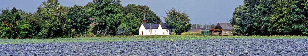Sommer am Niederrhein