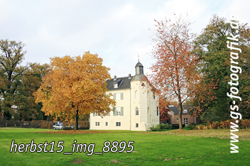Bild in den Warenkorb legen