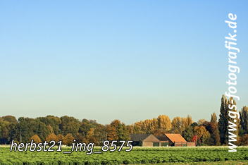 Bild in den Warenkorb legen