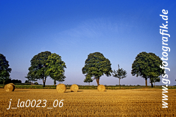 Bild in den Warenkorb click