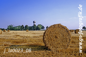 Bild in den Warenkorb click