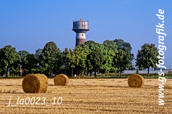 Bild in den Warenkorb click