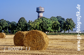 Bild in den Warenkorb click
