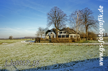 Bild in den Warenkorb legen