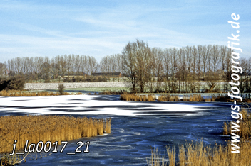 Bild in den Warenkorb legen